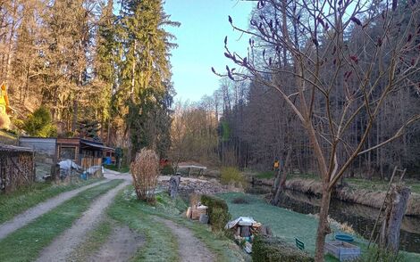 foto13_11469852_79943.jpg