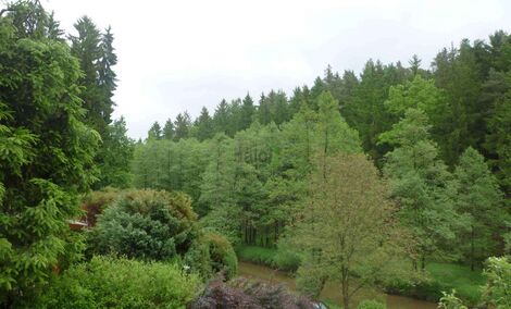 foto13_11469852_80633.jpg