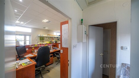 foto04_11219164_18neig.jpg