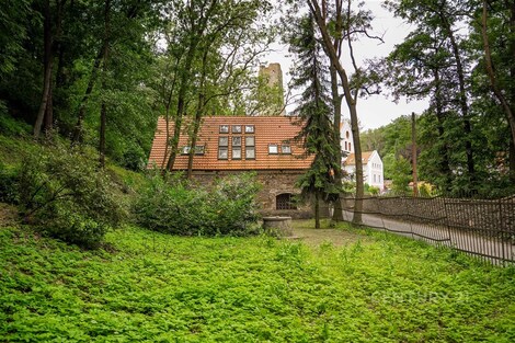 foto04_11347232_lrjn0.jpg