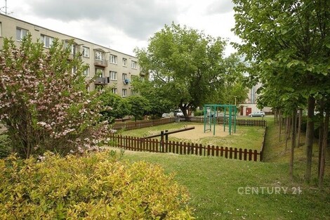 foto04_11519631_1gybus.jpg
