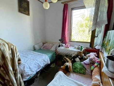 foto05_11366591_5jbuo.jpg