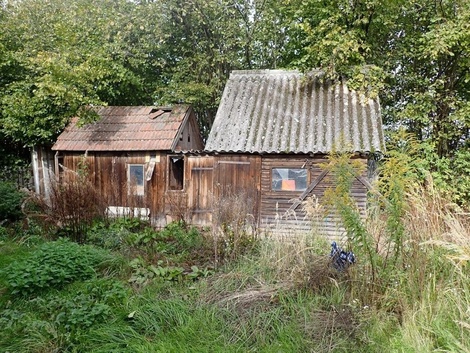 foto05_11490097_993km.jpg
