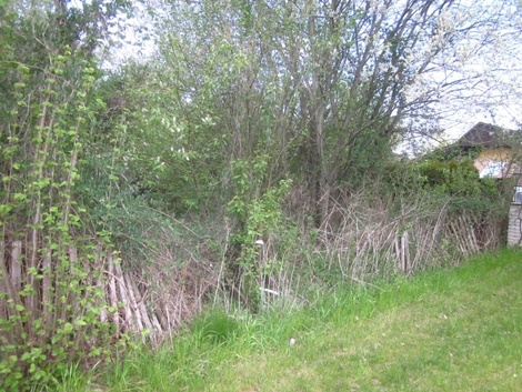 foto05_11498127_3rlnq.jpg