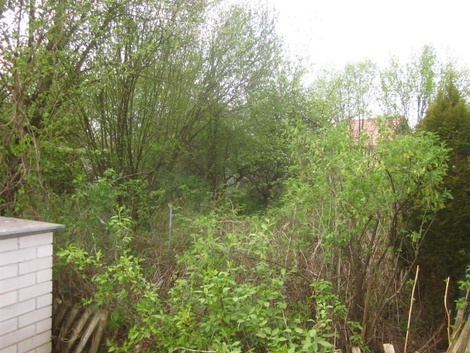 foto05_11498127_8h35o.jpg