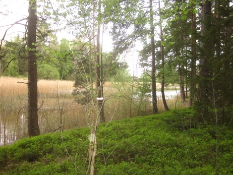 foto05_11537425_4ktli.jpg