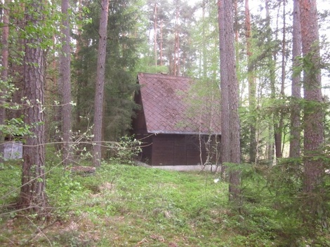 foto05_11537425_55r4e.jpg