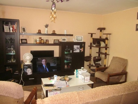 foto05_11538781_2t7l6.jpg