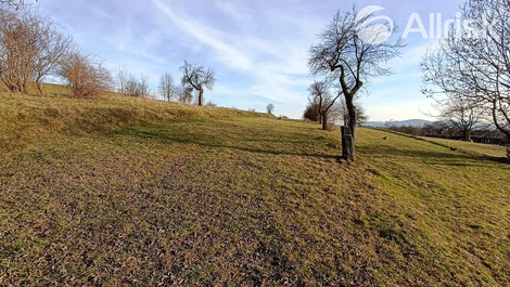 foto05_11027686_2egvk.jpg