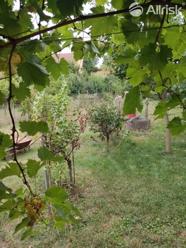 foto05_11334087_6vrgq.jpg