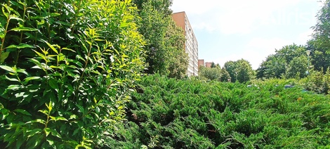 foto05_11350663_5ac10.jpg