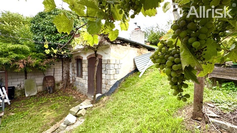 foto05_11360910_338t8.jpg