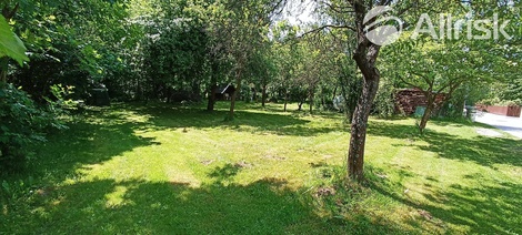 foto05_11380187_2fkqq.jpg
