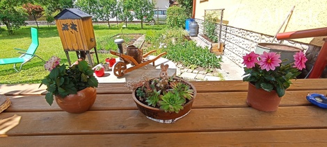 foto05_11380187_7l9jq.jpg