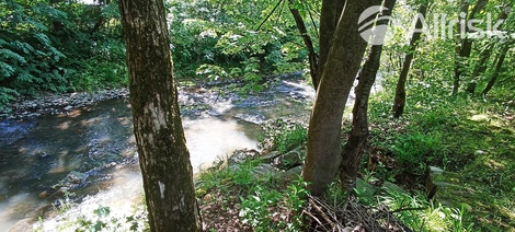 foto05_11380187_d59s.jpg