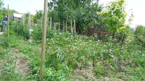 foto05_11381269_1i4ca.jpg