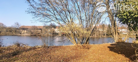 foto05_11513880_2c17e.jpg