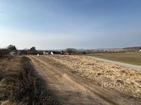 foto02_11252797_1asvk.jpg