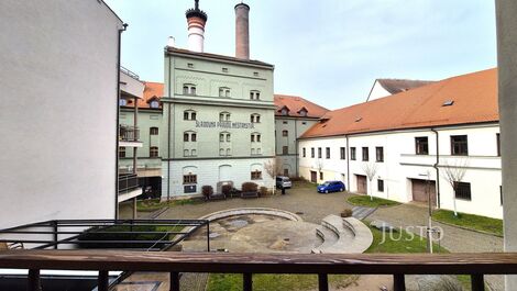 foto02_11356141_1eczd0.jpg