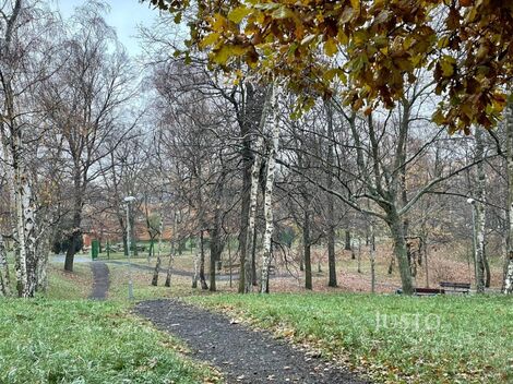 foto02_11382873_1ketvk.jpg