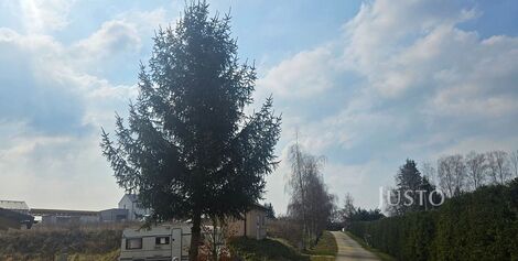 foto02_11470035_2hwng.jpg