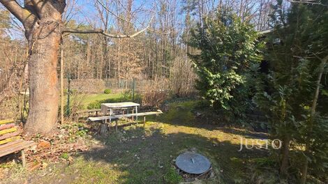 foto02_11470666_erbs.jpg
