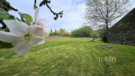 foto02_11532299_xhd7k.jpg