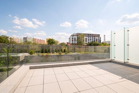 foto02_11533342_eczvs.jpg