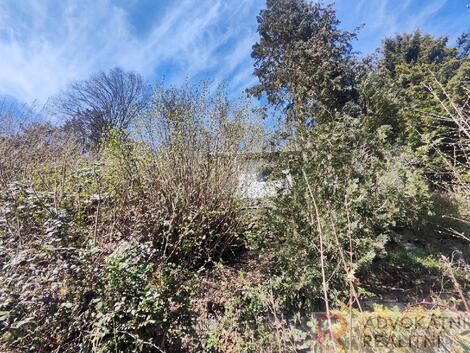 foto02_11477330_mt59k.jpg
