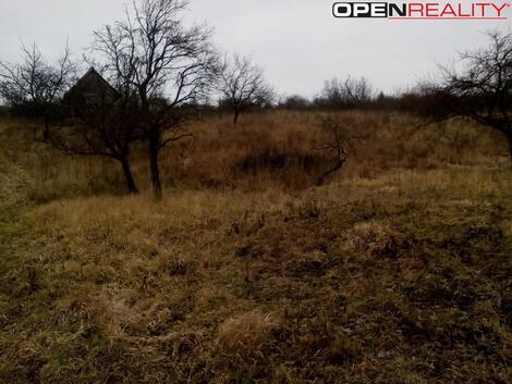 foto02_11292460_1dnedg.jpg