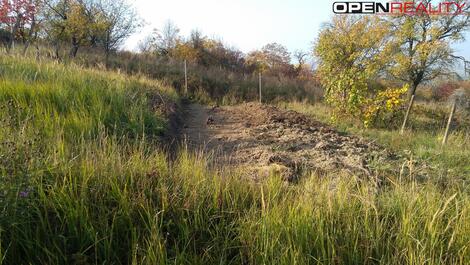 foto02_11292460_6l3hs.jpg