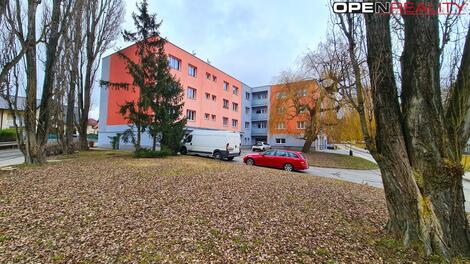 foto02_11316150_q4hbw.jpg