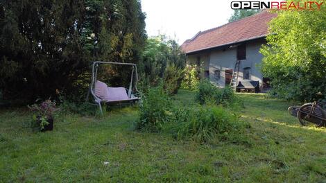 foto02_11326938_yjuxo.jpg