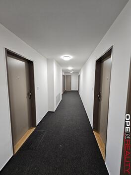 foto02_11343674_17c0vo.jpg