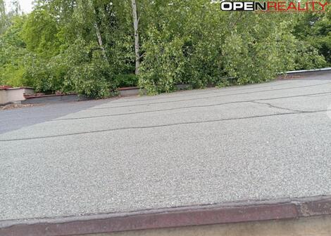 foto02_11346861_23ac8.jpg