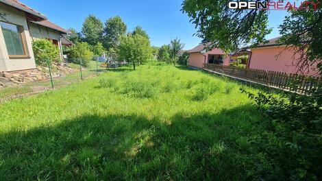 foto02_11372965_6ed20.jpg