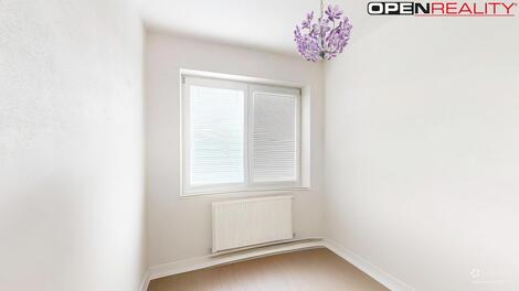 foto02_11381419_sv6kk.jpg