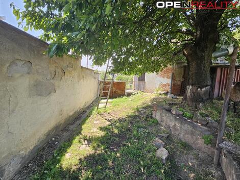 foto02_11404767_17qzb0.jpg