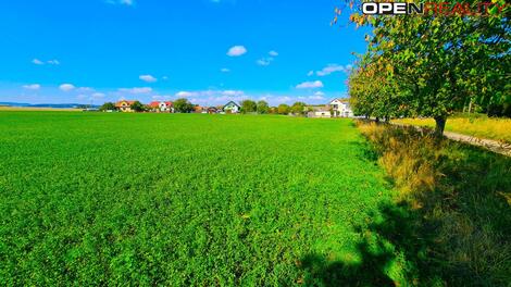 foto02_11455198_3dskg.jpg