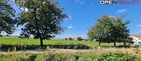 foto02_11455198_gckw0.jpg