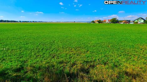 foto02_11455198_wp4jk.jpg