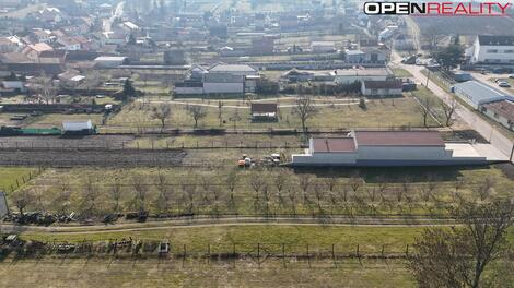foto02_11460297_zwtz4.jpg