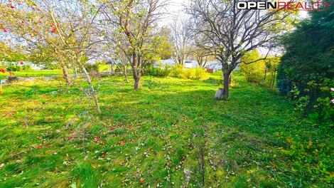 foto02_11485536_1kvj18.jpg