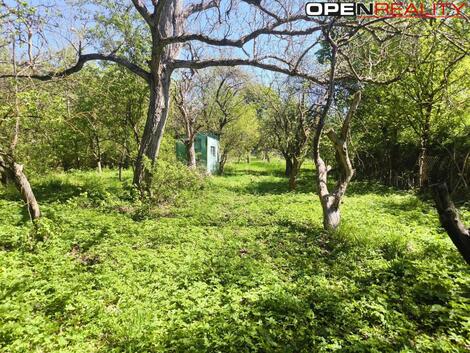 foto02_11487554_15xlu0.jpg