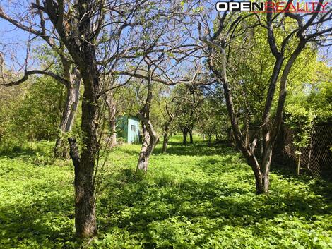 foto02_11487554_xz5c.jpg
