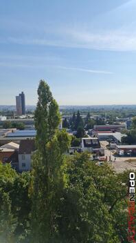 foto02_11496464_y04d4.jpg