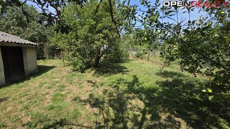 foto02_11546998_e8c7o.jpg
