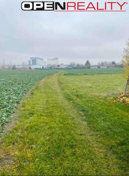 foto02_11555906_rjmzw.jpg