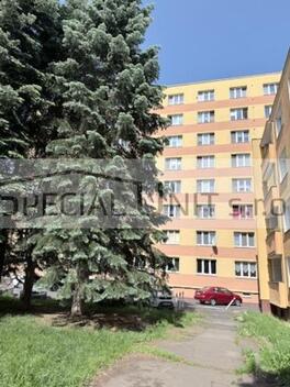 foto02_11505484_qaxqk.jpg