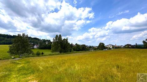 foto02_11365896_hegs.jpg